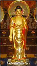 Amitabha Terre Pure Linh-Son Tung-Lam